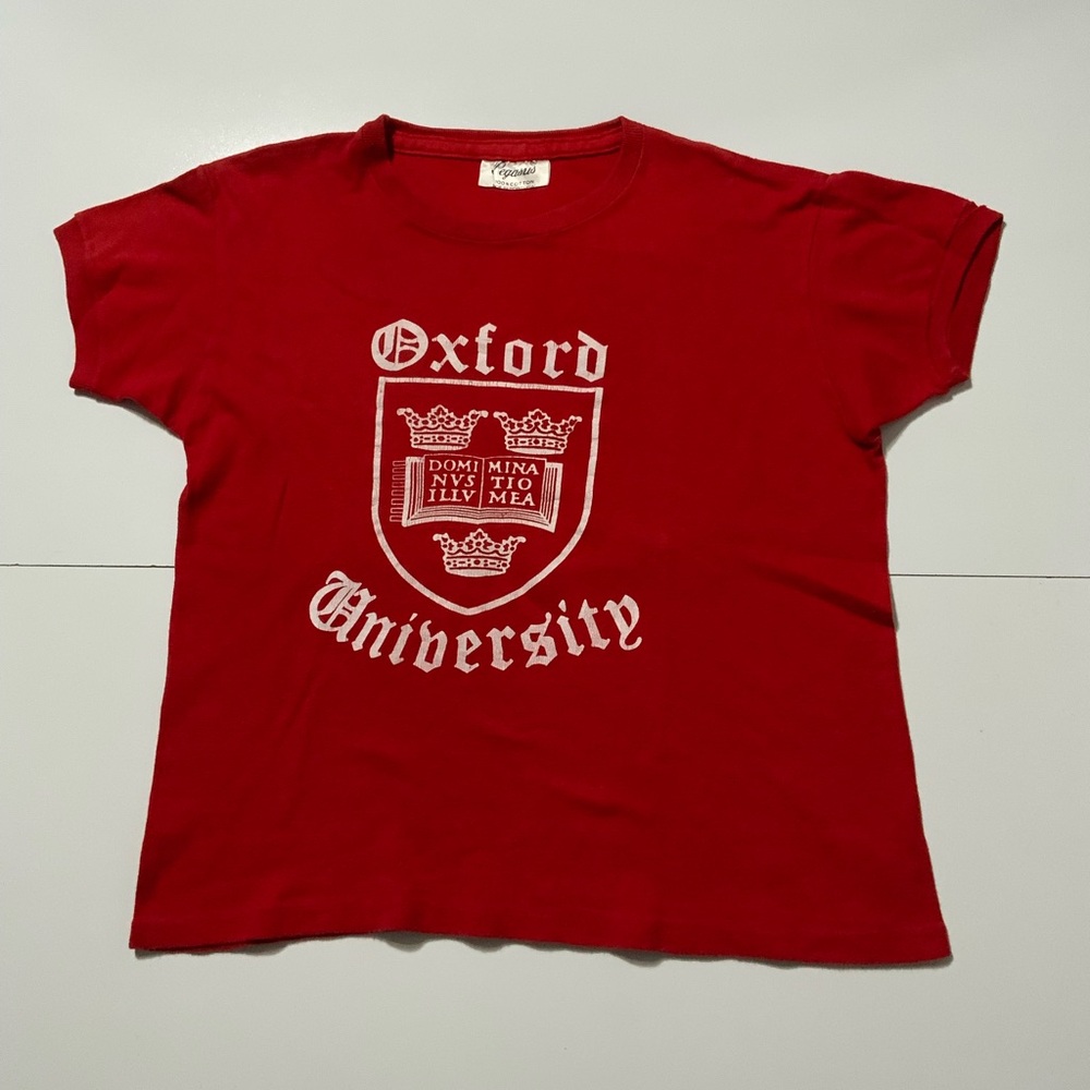 Vintage 70s Pegasus Oxford University Dominus Illuminatio Mea Ringer T-Shirt